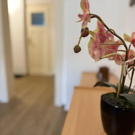 Kraempfervorstadt - 3 Schlafzimmer - 6 Betten - Wlan - Gratis Stellplatz - 2 Baeder Erfurt